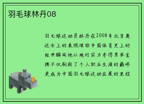 羽毛球林丹08